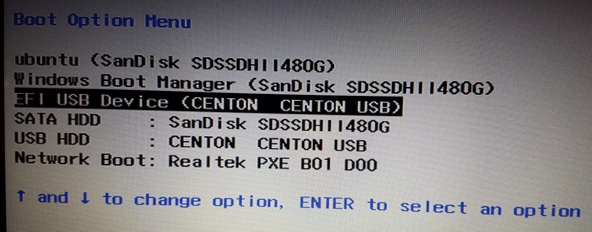 BIOS persistent USB